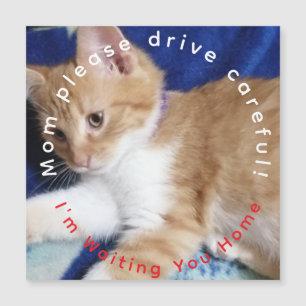 ginger cat humor photo text Mom Car Magnet