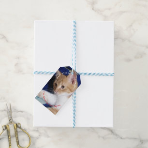 ginger cat humor photo text Mom Gift Tags
