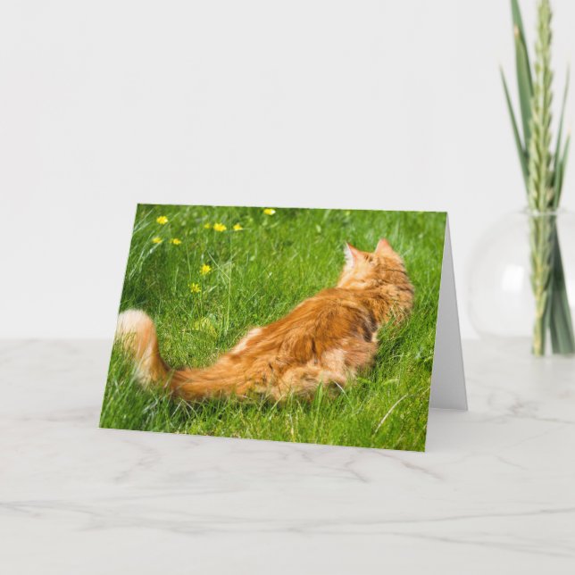 Ginger Cat In The Springtime Card (Front)