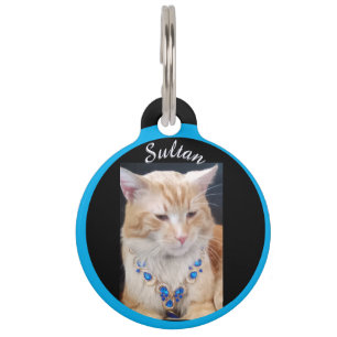 Ginger Cat ,Jewellery, Name and Photo customize, Pet Tag