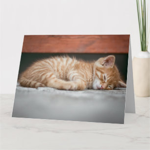 GINGER CAT KITTEN SLEEPING BIRTHDAY GREETING CARD