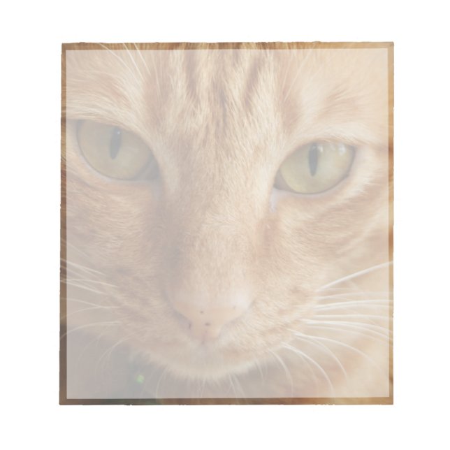 ginger cat notepad (Front)