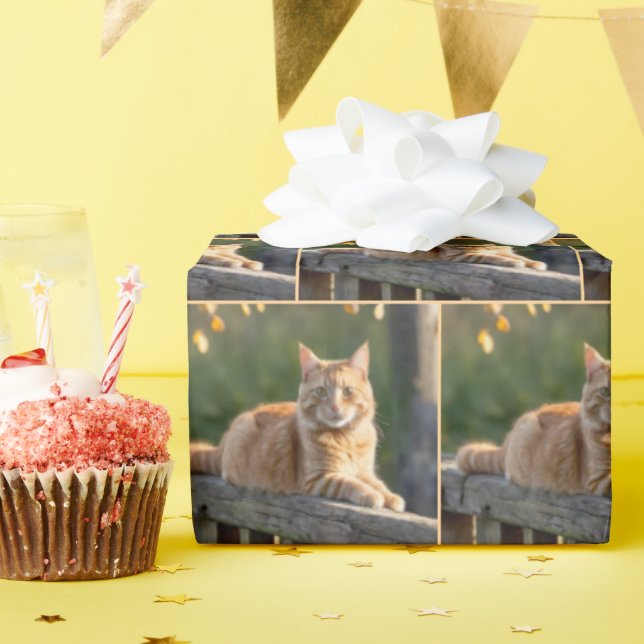 Ginger Cat On a Rustic Fence Wrapping Paper (Birthday Party)