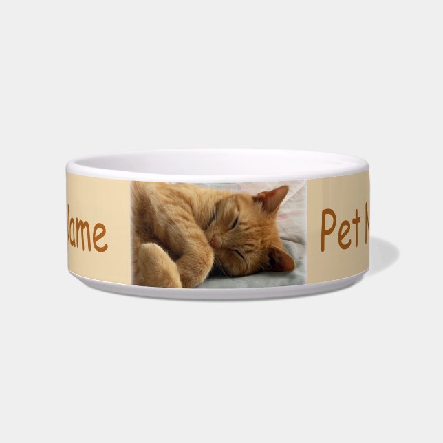 Ginger Cat Pet Bowl (Front)