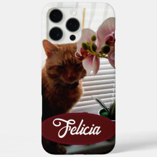 Ginger Cat Photo and Name, Customisable , iPhone 16 Pro Max Case