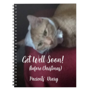 Ginger Cat Photo Get Well Soon , Spiral Notebook