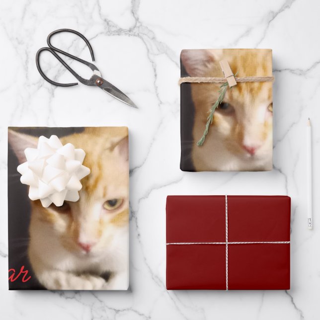 Ginger Cat Photo Text Customise Wrapping Paper Sheet (Front)