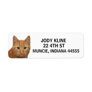 GINGER CAT  Return Address Label