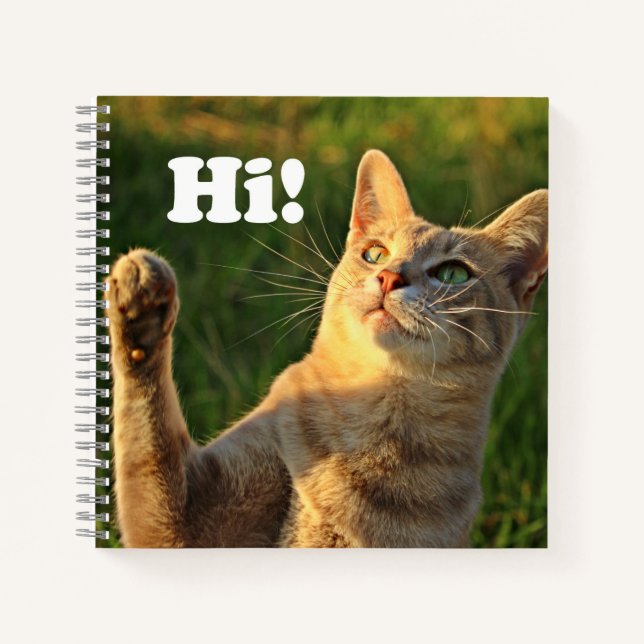 Ginger Cat Saying Hi! Notebook (Front)
