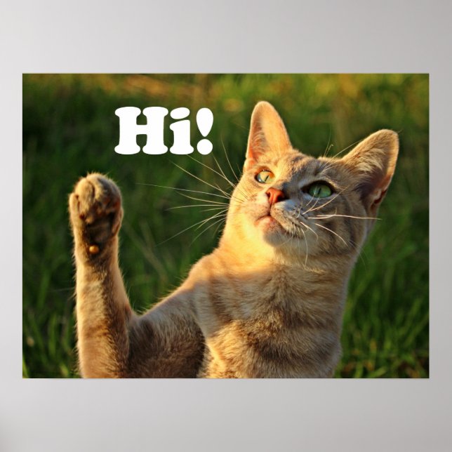 Ginger Cat Saying Hi! Poster (Front)