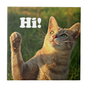 Ginger Cat Saying Hi! Tile