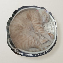 Ginger Cat Sleeping Photo Round