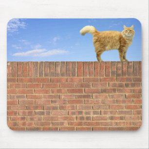 Ginger Cat Standing on Brick Wall Mouse Pad