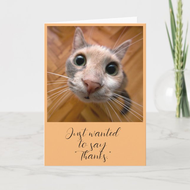 Ginger Cat Thank you card (Front)