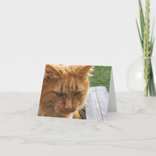 Ginger cat thank you card