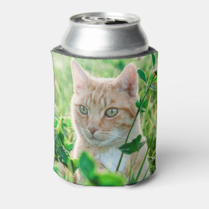 Ginger Cat with Green Eyes in Grass Can Cooler