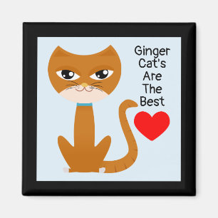 Ginger cat's are the best magnet
