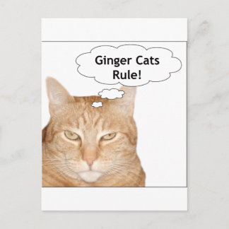 Ginger Cats Rule! Postcard