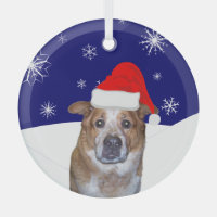 Ginger Dog in Santa Hat with Snowy Hills