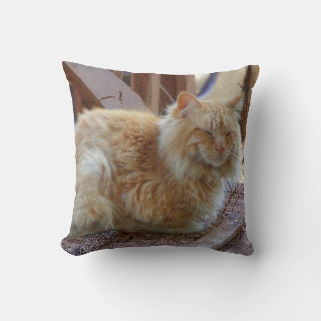 Ginger George  Cushion (Front)