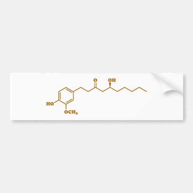 Ginger Gingerol Molecule Chemical Formula Bumper Sticker (Front)