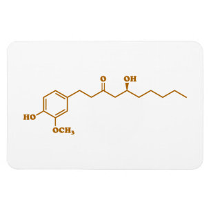 Ginger Gingerol Molecule Chemical Formula Magnet