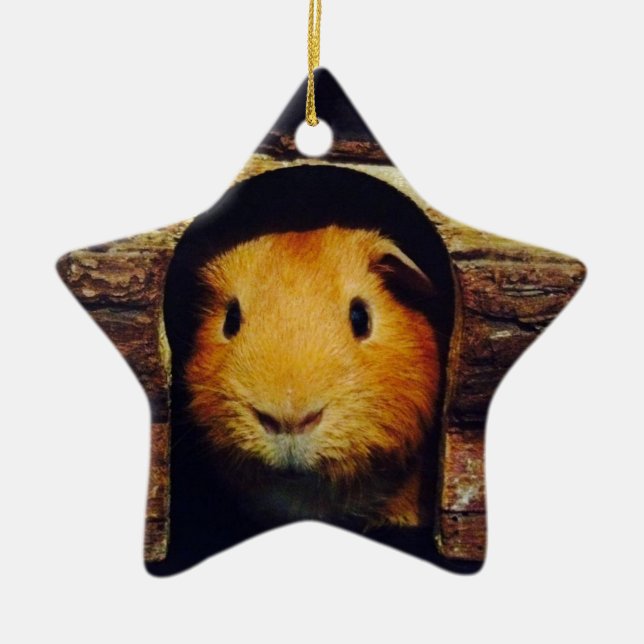Ginger Guinea Pig Gifts Ceramic Tree Decoration (Front)