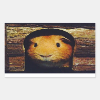Ginger Guinea Pig Gifts Rectangular Sticker