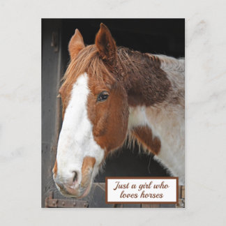 Ginger Horse on Farm Just a Girl who Loves Horses Postcard