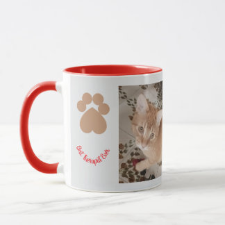Ginger kitten 2 photos, best therapist, mug