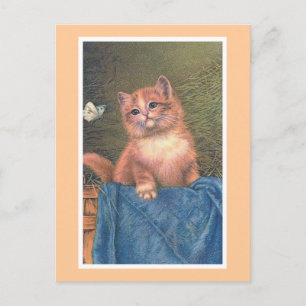 "Ginger Kitten and Butterfly" Vintage Postcard