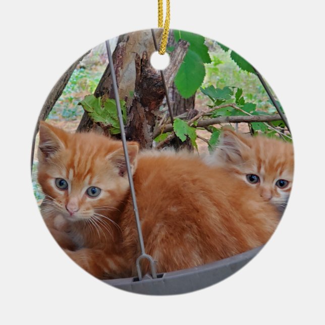 Ginger kittens ceramic tree decoration (Front)