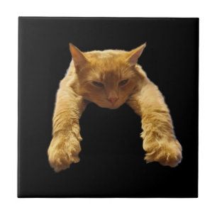 Ginger Lazy Cat, Ceramic Tile