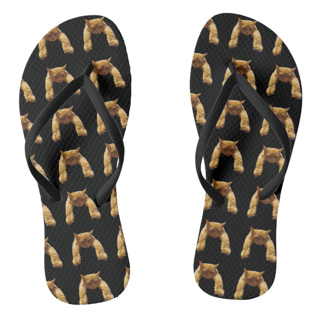 Ginger Lazy Cat, Flip Flops (Footbed)
