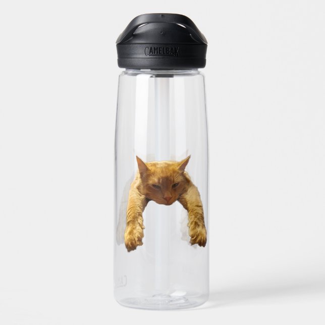 Ginger Lazy Cat, Water Bottle (Back)