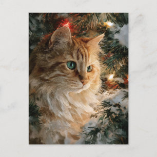 Ginger Maine Coon Christmas Postcard