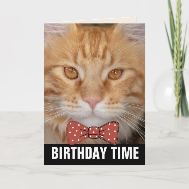 GINGER RED CAT BIRTHDAY CARDS (Front)