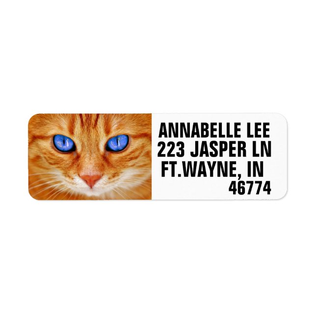 GINGER RED KITTEN CAT RETURN ADDRESS LABELS (Front)
