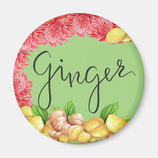 Ginger spice magnet