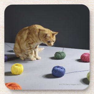 Ginger tabby cat sitting on table coaster