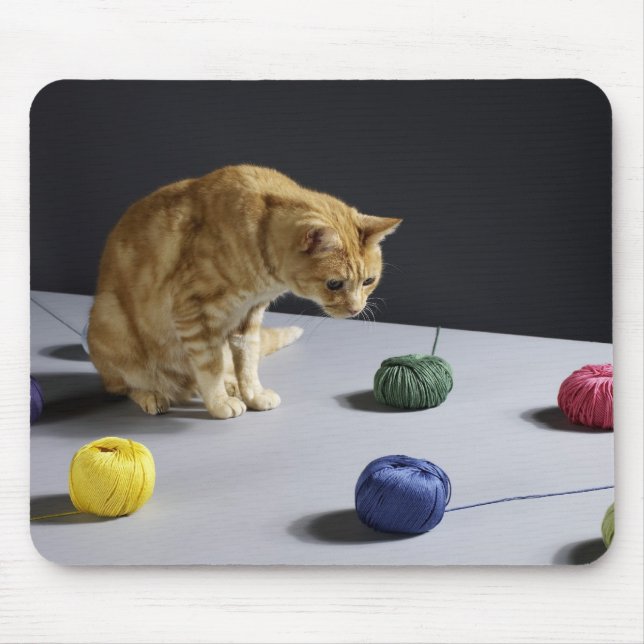 Ginger tabby cat sitting on table mouse pad (Front)
