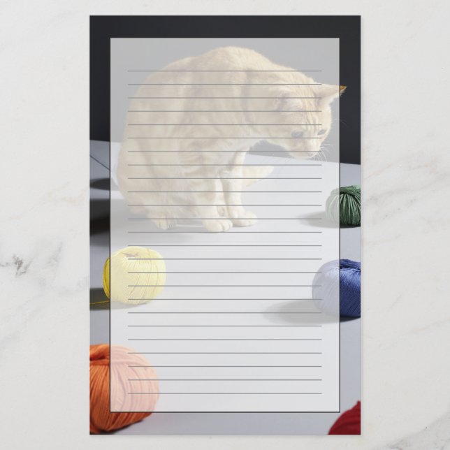 Ginger tabby cat sitting on table stationery (Front)