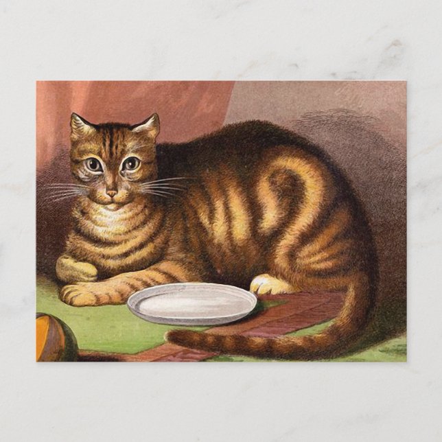 Ginger Tabby Cat Vintage Illustration Postcard (Front)