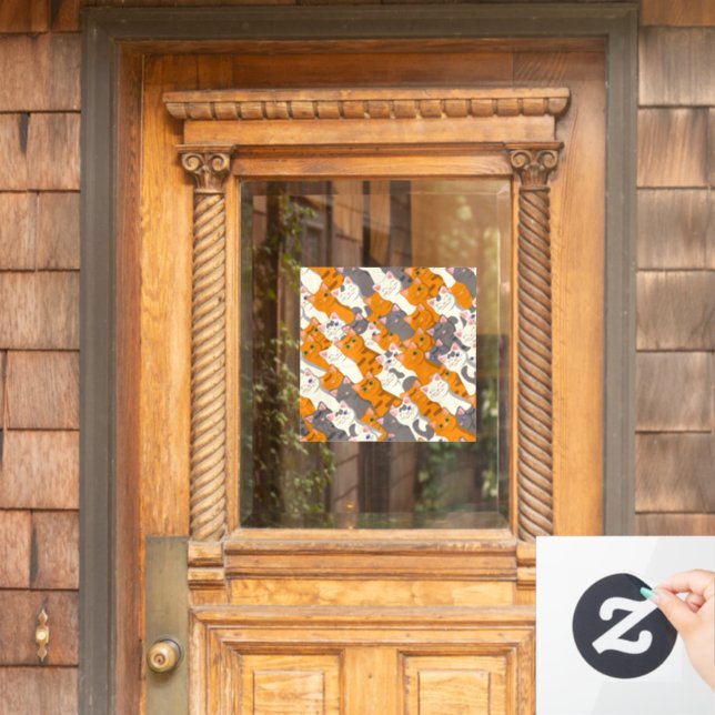 Ginger white black cat diagonal pattern (Home Door)