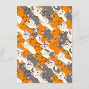 Ginger white black cat diagonal pattern enclosure card
