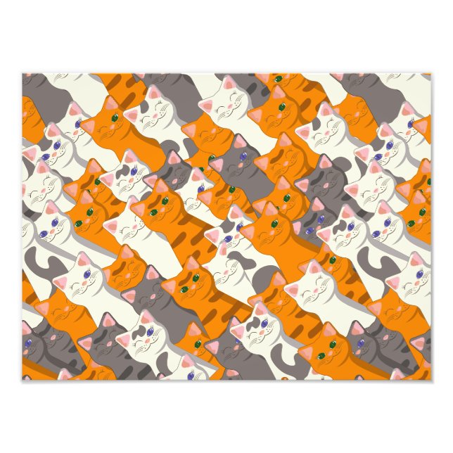 Ginger white black cat diagonal pattern photo print (Front)