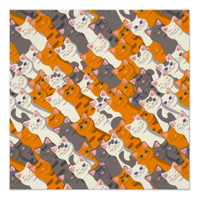 Ginger white black cat diagonal pattern poster (Front)