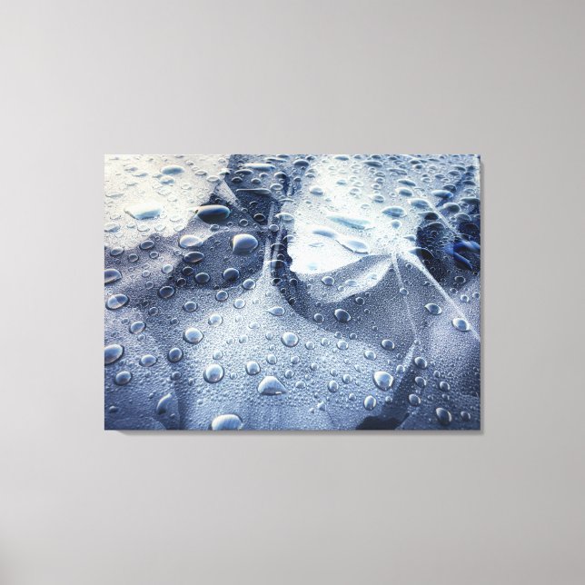 Gingko Leaves and Raindrops Canvas Print (Front)