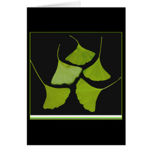 gingko leaves card