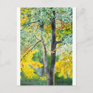 gingko postcard